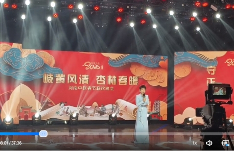 鼎文直播台河南广播电视台2025中医春晚